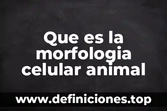 Que es la morfologia celular animal