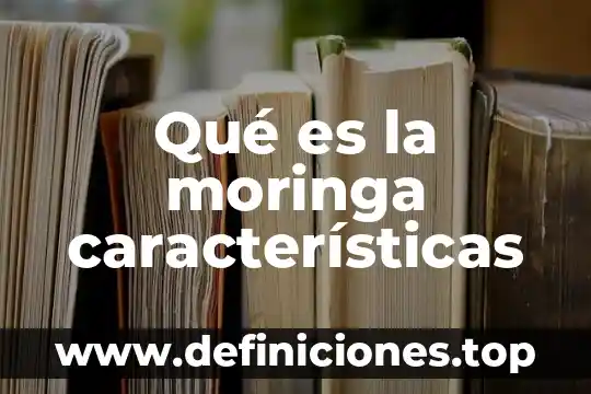 Que es un texto argumentativo y sus caracteristicas ejemplos 8 Qué es la moringa características