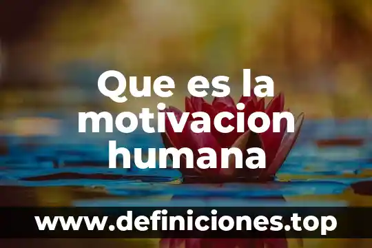 Que es la motivación y como funciona 7 Que es la motivacion humana