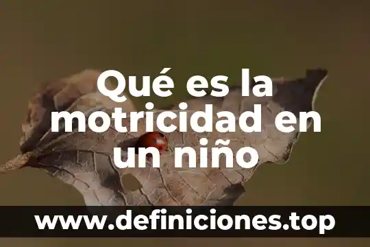 Que es salud en un niño 8 Qué es la motricidad en un niño