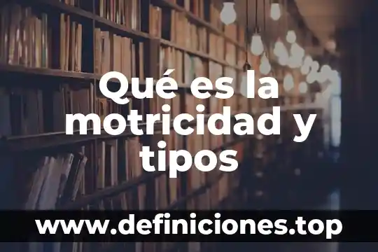 Qué es la motricidad y tipos