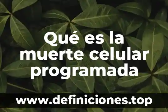 Qué es la muerte celular programada