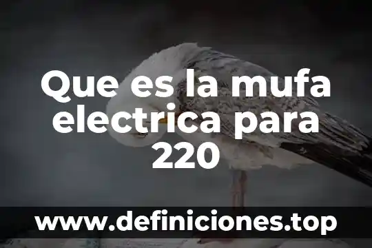 Que es la mufa electrica para 220