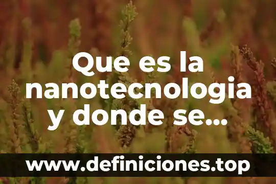 Que es la nanotecnologia y donde se aplica