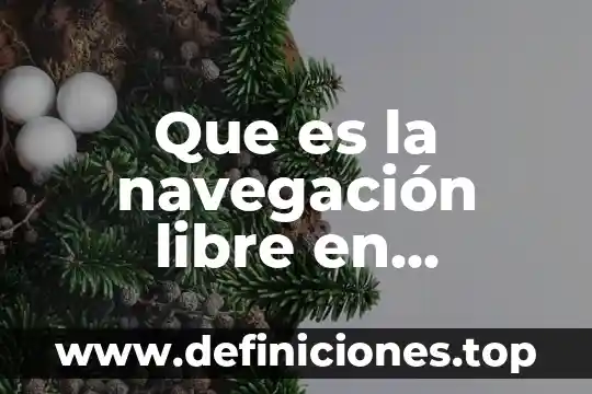 Que es un numero en contrato movistar 7 Que es la navegación libre en movistar
