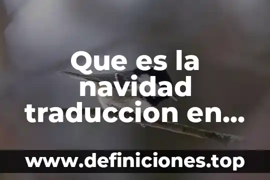 Que es la navidad traduccion en ingles