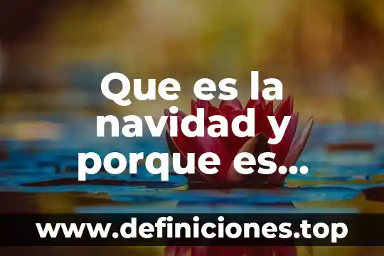 Por que es importante la risa terapia 4 Que es la navidad y porque es importante el arbol