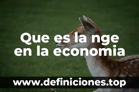 Que es la nge en la economia