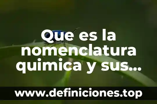 Que es la nomenclatura quimica y sus tipos