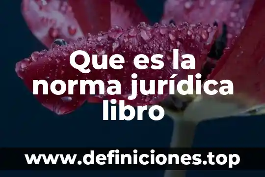 Que es una norma tecnica chile 4 Que es la norma jurídica libro