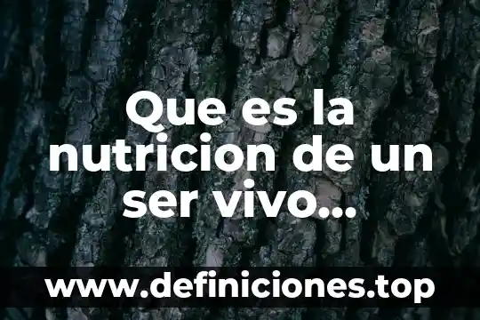 Que es la nutricion de un ser vivo biologia