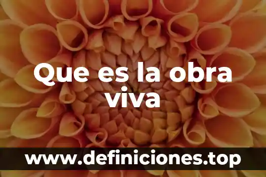 Que es y para que sirve un crokis 8 Que es la obra viva