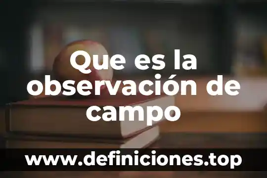 Que es la observación de campo