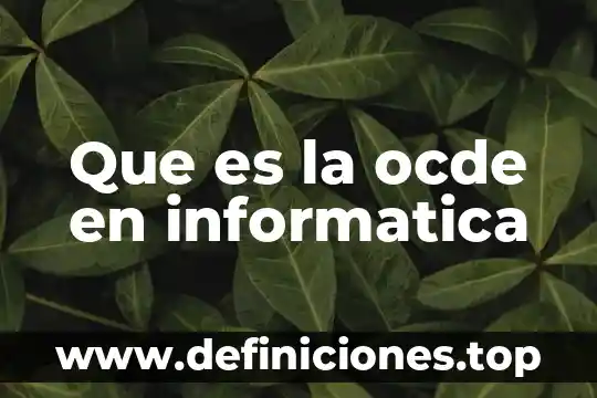 Que es la ocde en informatica