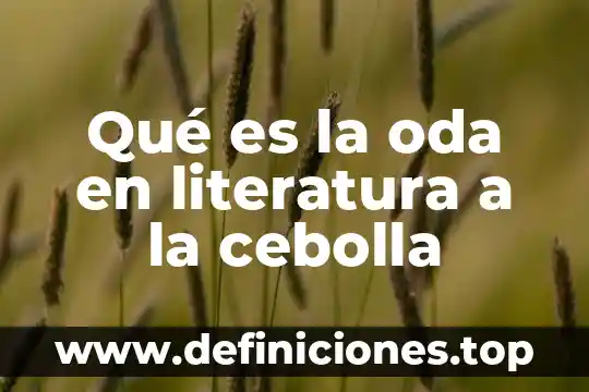 Que es arremeter en literatura 8 Qué es la oda en literatura a la cebolla