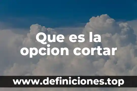 Qué es una cizalla manual para cortar lámina 6 Que es la opcion cortar