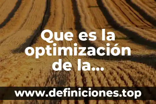 Que es optimizacion de recursos autores 8 Que es la optimización de la arquitectura de procesos