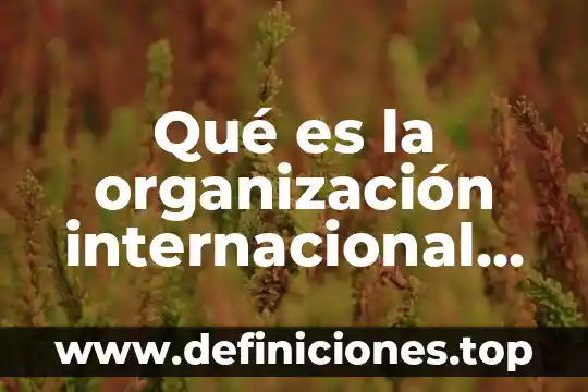 Que es el español internacional 4 Qué es la organización internacional de la francofonía
