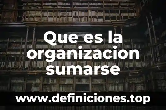 Que es arqueolítico caracteristicas 8 Que es la organizacion sumarse