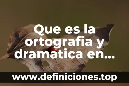 Que es la ortografia y dramatica en word
