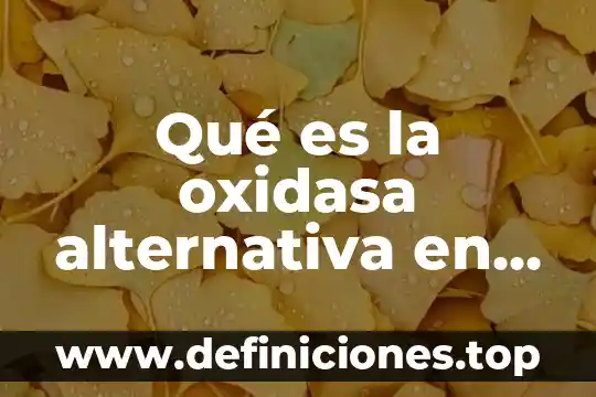 Que es la musica alternativa yahoo 7 Qué es la oxidasa alternativa en plantas