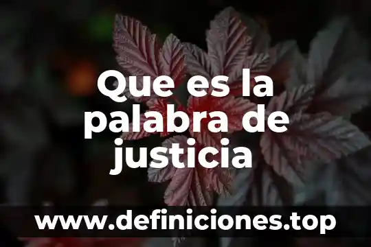 Que es la palabra de justicia