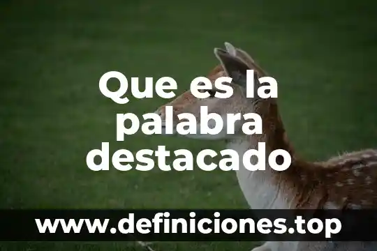 Que es la palabra destacado