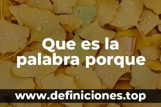 Qué es la palabra hola 7 Que es la palabra porque