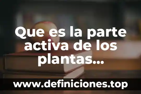Que es una solución osmoticamente activa 8 Que es la parte activa de los plantas medicinales