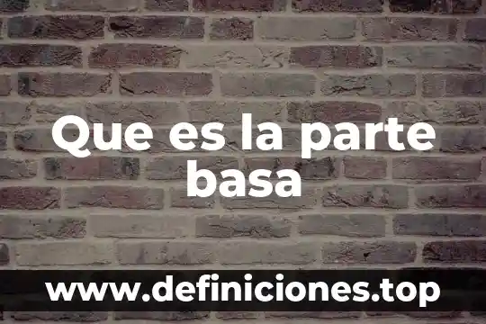 Que es la parte basa