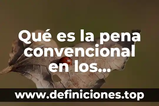 Eviccion en los contratos que es 4 Qué es la pena convencional en los contratos