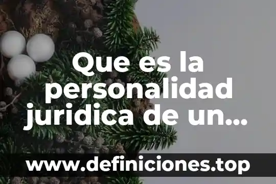 Que es la personalidad juridica de un organismo
