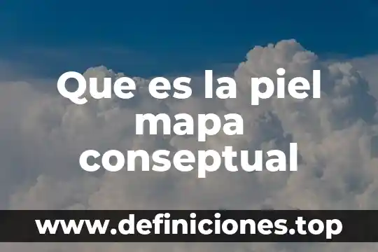 Que es la piel mapa conseptual