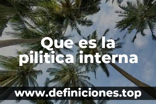 Que es la planeacion interna de una empresa 8 Que es la pilitica interna