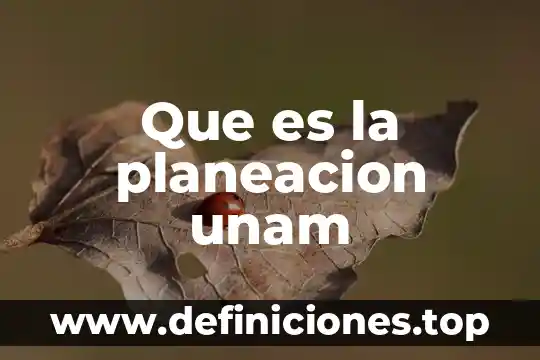 Ead planeación de carga que es 4 Que es la planeacion unam