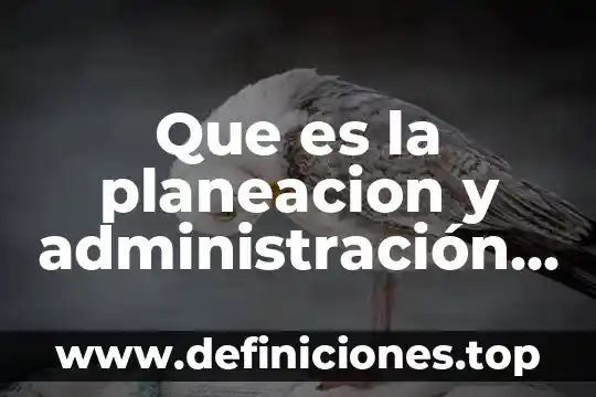 Ead planeación de carga que es 5 Que es la planeacion y administración financiera