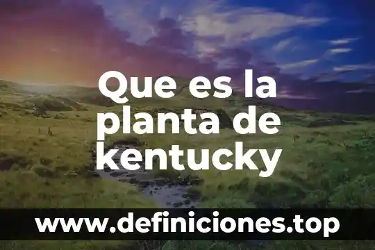 Que es la planta de kentucky