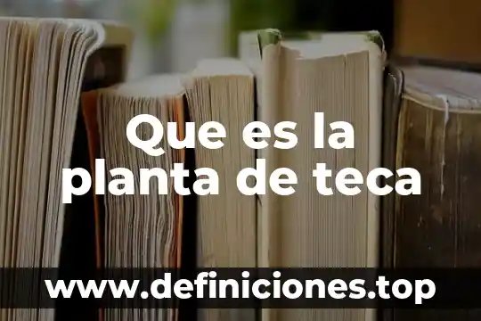 Que es una planta haploide 4 Que es la planta de teca
