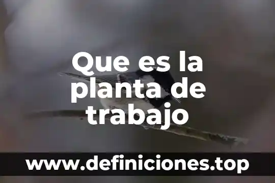 Que es la planta de trabajo