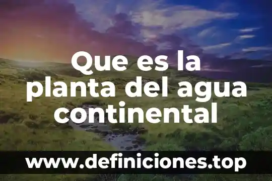 Que es loque hace una salvaguardias en la planta nuclear 5 Que es la planta del agua continental