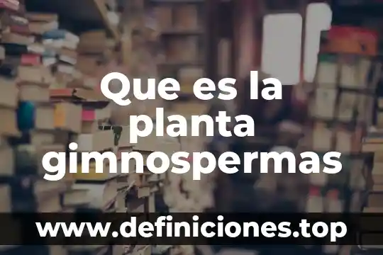 Que es la planta gimnospermas