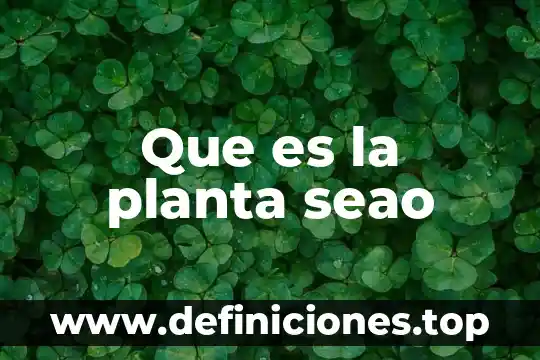 Que es la planta seao