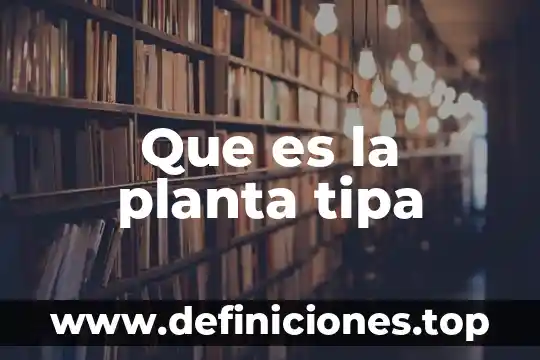 Que es loque hace una salvaguardias en la planta nuclear 7 Que es la planta tipa