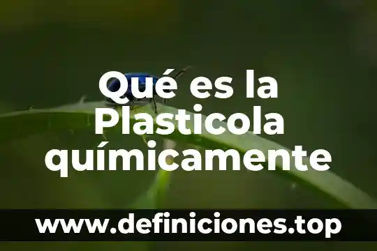 Que es un reactivo quimicamente puro 3 Qué es la Plasticola químicamente