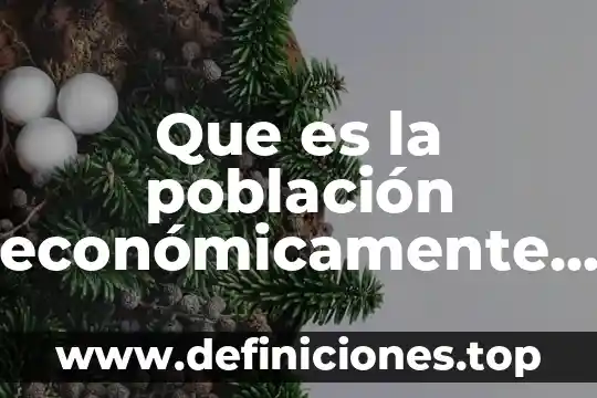 Que es la población económicamente activa segun la sep