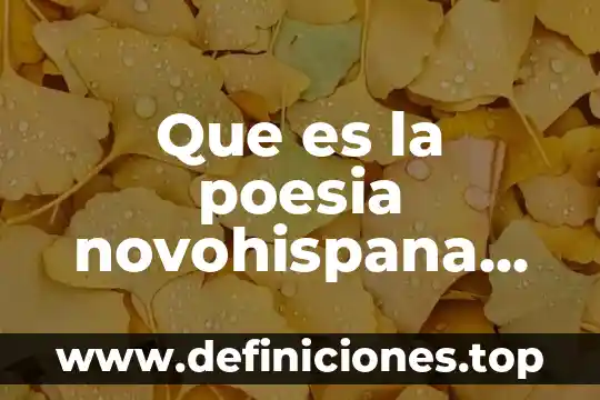 Que es poesia virtual yahoo 3 Que es la poesia novohispana en la literatura