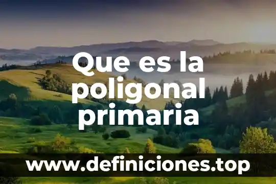 Que es la poligonal primaria