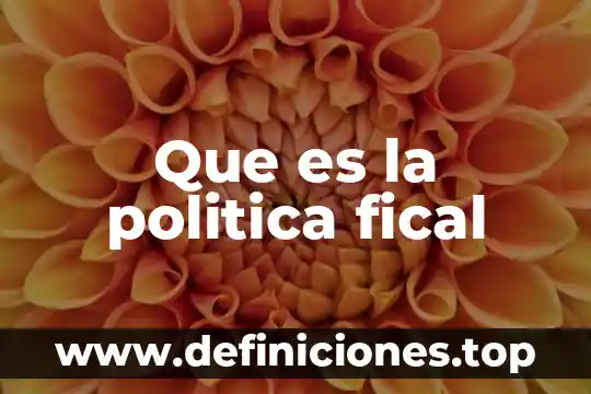 Que es la politica fical