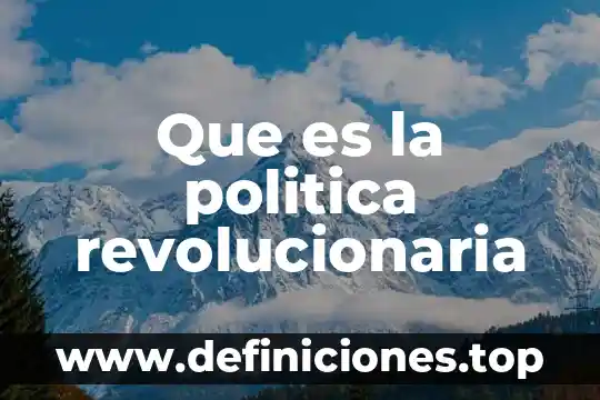 Que es la politica revolucionaria