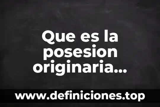 Que es la posesion originaria concepto juridico
